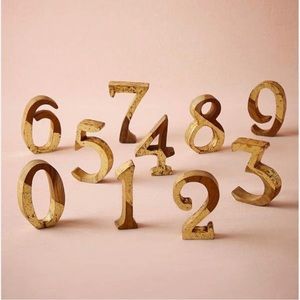 BHLDN Anthropologie Gold Teak Wood Table Numbers